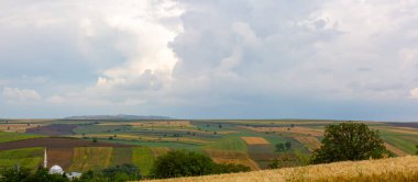 Tarlaların içinde çalışan elektrik yel değirmenleri