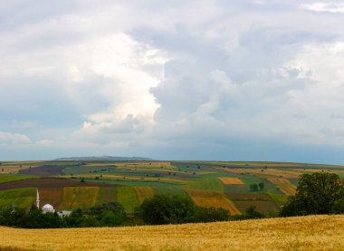 Tarlaların içinde çalışan elektrik yel değirmenleri
