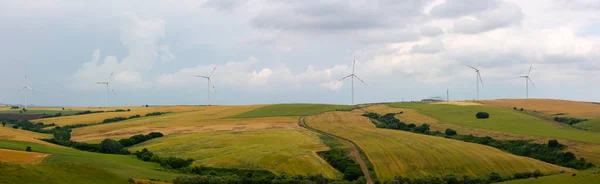 Electric Windmills Working Fields — Stock Photo, Image