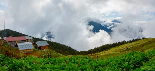 Gito Plateau View Foggy Weather Plateau Located Camlihemsin District Rize — Stockfoto