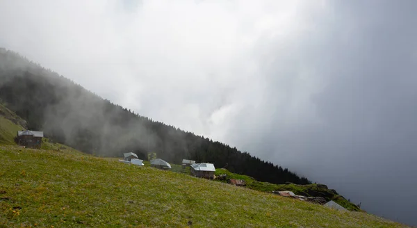Gito Plateau View Foggy Weather Plateau Located Camlihemsin District Rize — Photo