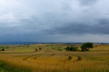 Mavi bulutların ve ekili tarlaların pencereleri, Corlu Türkiye