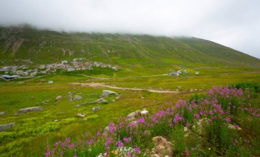 İsviçre 'deki Greene Platosu' nda sisli bir günde bahar sonlarında dağların arasında dolambaçlı bir dağ yolu ve yaylalar. yüksek kaliteli fotoğraf