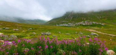 İsviçre 'deki Greene Platosu' nda sisli bir günde bahar sonlarında dağların arasında dolambaçlı bir dağ yolu ve yaylalar. yüksek kaliteli fotoğraf