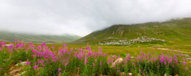 İsviçre 'deki Greene Platosu' nda sisli bir günde bahar sonlarında dağların arasında dolambaçlı bir dağ yolu ve yaylalar. yüksek kaliteli fotoğraf