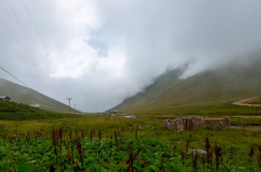İsviçre 'deki Greene Platosu' nda sisli bir günde bahar sonlarında dağların arasında dolambaçlı bir dağ yolu ve yaylalar. yüksek kaliteli fotoğraf