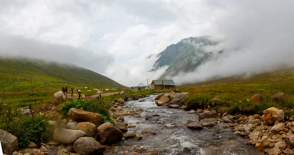 Winding Mountain Road Plateaus Mountains Late Spring Foggy Day Greene — Stock Photo, Image