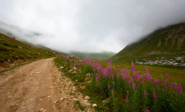 Sinuoso Camino Montaña Mesetas Entre Montañas Finales Primavera Día Niebla — Foto de Stock