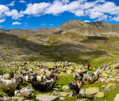 Vercenik Vadisi Tatos Göl Tepeleri rotası, Hemsin Vadisi üzerinden Kackars 'a Verenik Platosu' ndan tırmanmak mümkün..
