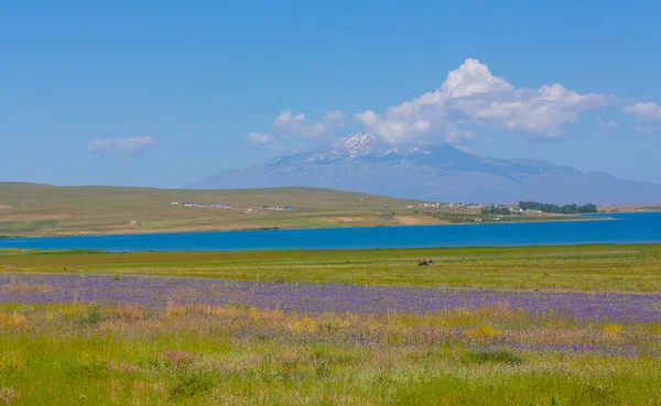 阿拉拉特山海拔5137米 是土耳其最高的山 阿拉拉特山位于土耳其的东端 伊朗以西16公里 亚美尼亚以南32公里 — 图库照片