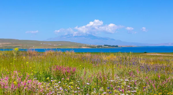 Berg Ararat Met Een Hoogte Van 137 Meter Hoogste Berg — Stockfoto