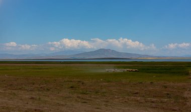 Karlı Suphan Dağı (Sphan Da) ve Van Gölü
