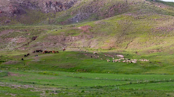 Havas Mount Suphan Sphan Lake Van — Stock Fotó