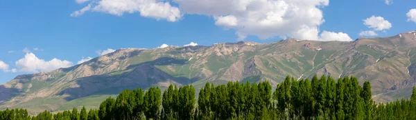 Artos Mountain Vagy Adr Mountain Egy Kihalt Vulkán Amelynek Magassága — Stock Fotó