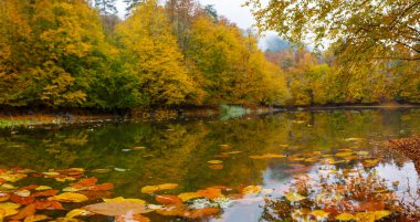 İstanbul 'un kuzeybatısında, Saryer' in sınırları içinde yer alan Belgrad Ormanı, İstanbul 'un en büyük orman ve yeşil alanlarından biridir..