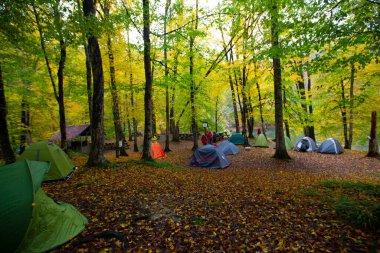 İstanbul 'un kuzeybatısında, Saryer' in sınırları içinde yer alan Belgrad Ormanı, İstanbul 'un en büyük orman ve yeşil alanlarından biridir..