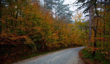 İstanbul 'un kuzeybatısında, Saryer' in sınırları içinde yer alan Belgrad Ormanı, İstanbul 'un en büyük orman ve yeşil alanlarından biridir..