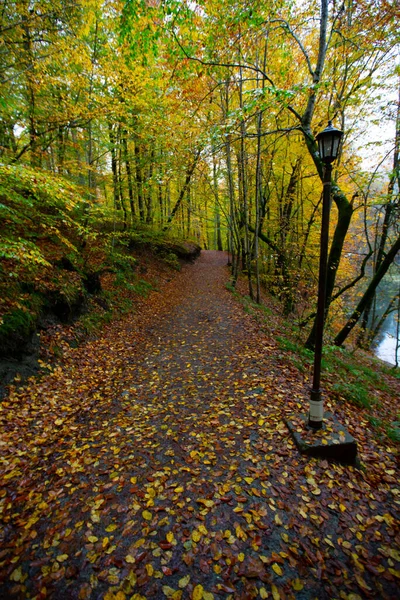 Localizado Noroeste Istambul Dentro Das Fronteiras Distrito Saryer Belgrad Forest — Fotografia de Stock