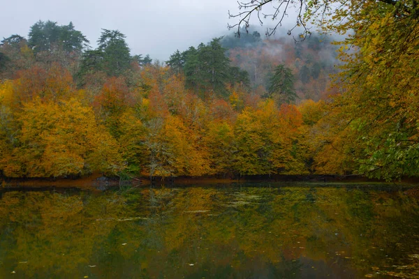 Isztambultól Északnyugatra Saryer Kerület Határain Belül Található Belgrad Forest Isztambul — Stock Fotó