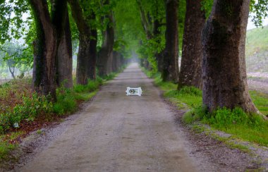 Tüneller ve toprak yollar ağaçlar tarafından yapılır. Bursa Dudakli