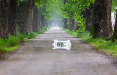 Tüneller ve toprak yollar ağaçlar tarafından yapılır. Bursa Dudakli
