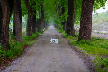 Tüneller ve toprak yollar ağaçlar tarafından yapılır. Bursa Dudakli