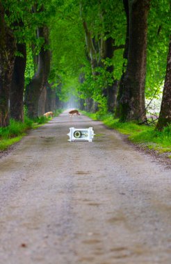 Tüneller ve toprak yollar ağaçlar tarafından yapılır. Bursa Dudakli
