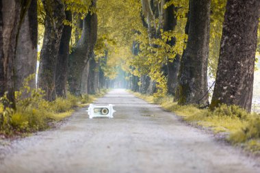 Tüneller ve toprak yollar ağaçlar tarafından yapılır. Bursa Dudakli