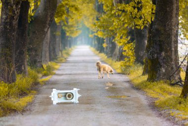 Tüneller ve toprak yollar ağaçlar tarafından yapılır. Bursa Dudakli