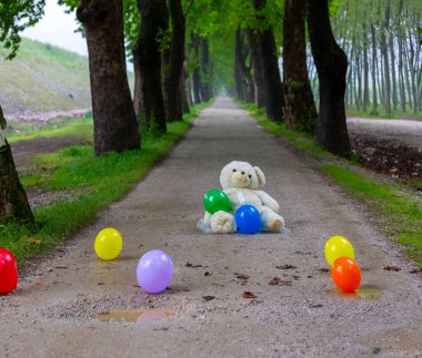 Tüneller ve toprak yollar ağaçlar tarafından yapılır. Bursa Dudakli