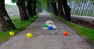Tüneller ve toprak yollar ağaçlar tarafından yapılır. Bursa Dudakli