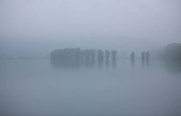 Deciduous Forest Plansee Tyrol Austria — Stock Photo, Image