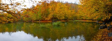 İstanbul 'daki Belgrad Ormanı' nda Valide Sultan Gölü. Hindi. Türkiye 'de Tatil Tatilleri. Kayın ve meşe ağaçlarında yürüyüş yolu. Belgrad Ormanı. İstanbul. Hindi. Ormanda gezinti yolu. Yürü
