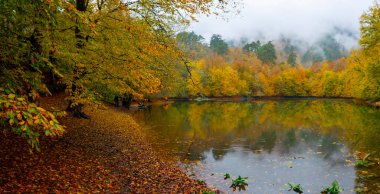İstanbul 'daki Belgrad Ormanı' nda Valide Sultan Gölü. Hindi. Türkiye 'de Tatil Tatilleri. Kayın ve meşe ağaçlarında yürüyüş yolu. Belgrad Ormanı. İstanbul. Hindi. Ormanda gezinti yolu. Yürü