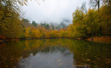 İstanbul 'daki Belgrad Ormanı' nda Valide Sultan Gölü. Hindi. Türkiye 'de Tatil Tatilleri. Kayın ve meşe ağaçlarında yürüyüş yolu. Belgrad Ormanı. İstanbul. Hindi. Ormanda gezinti yolu. Yürü