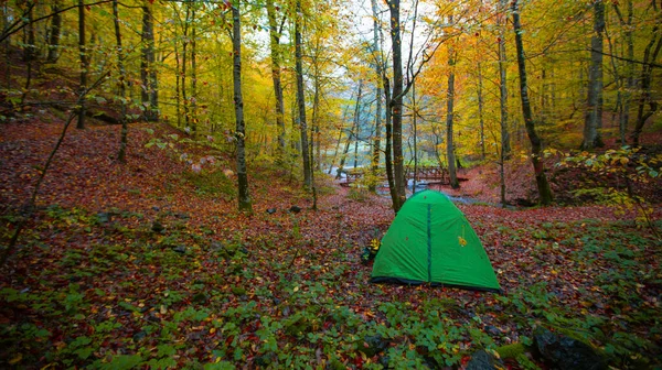 Valide Lac Sultan Dans Forêt Belgrad Istanbul Turquie Destinations Vacances — Photo