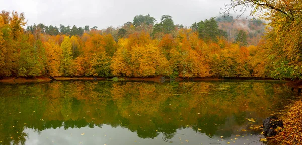 Stanbul Daki Belgrad Ormanı Nda Valide Sultan Gölü Hindi Türkiye — Stok fotoğraf