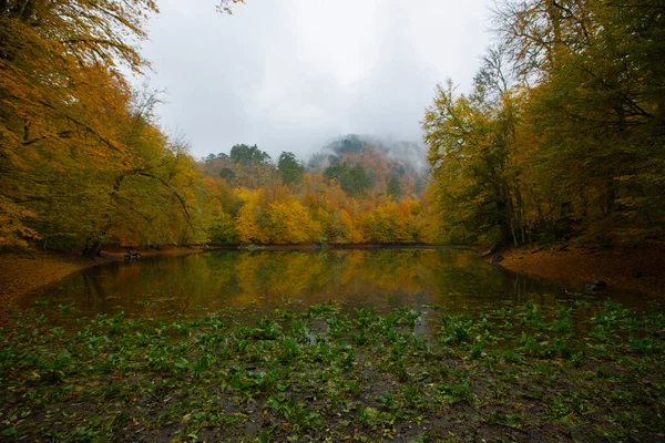 Válido Lago Sultan Floresta Belgrad Istambul Turquia Destinos Férias Turquia — Fotografia de Stock