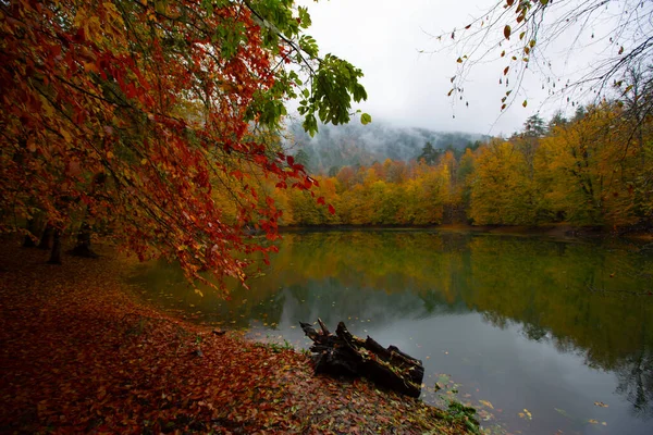 Valide Lac Sultan Dans Forêt Belgrad Istanbul Turquie Destinations Vacances — Photo