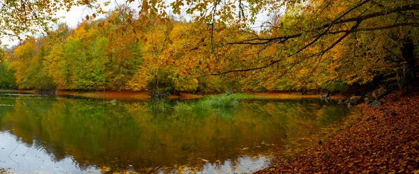 Válido Lago Sultan Floresta Belgrad Istambul Turquia Destinos Férias Turquia — Fotografia de Stock