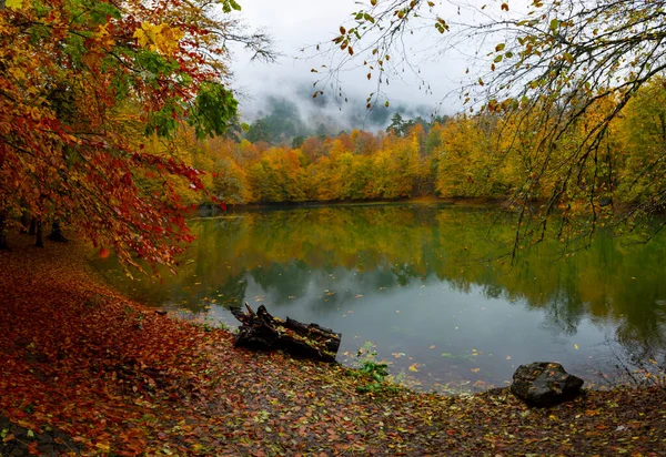 Valide Sultan Lake Belgrad Forest Istanbul Krocan Rekreační Destinace Turecku — Stock fotografie