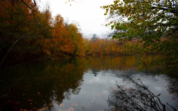 Λίμνη Valide Sultan Στο Δάσος Belgrad Στην Κωνσταντινούπολη Τουρκία Προορισμοί — Φωτογραφία Αρχείου