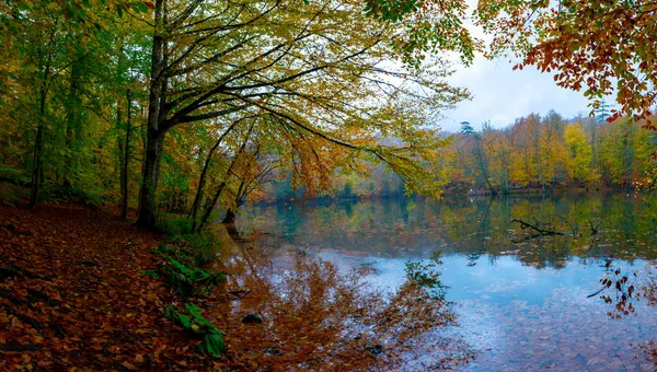 Válido Lago Sultan Floresta Belgrad Istambul Turquia Destinos Férias Turquia — Fotografia de Stock