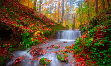 Yedi Göl (Yedigller) Ulusal Parkı, sonbaharın en güzel renkleri, şelale uzun pozlama tekniğiyle gün ışığına çıkarıldı..