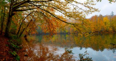 Yedi Göl (Yedigller) Ulusal Parkı, sonbaharın en güzel renkleri, şelale uzun pozlama tekniğiyle gün ışığına çıkarıldı..