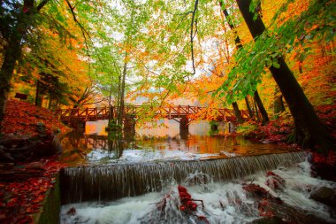 Yedi Göl (Yedigller) Ulusal Parkı, sonbaharın en güzel renkleri, şelale uzun pozlama tekniğiyle gün ışığına çıkarıldı..