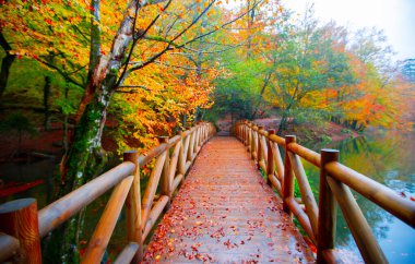 Yedi Göl (Yedigller) Ulusal Parkı, sonbaharın en güzel renkleri, şelale uzun pozlama tekniğiyle gün ışığına çıkarıldı..