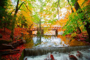 Yedi Göl (Yedigller) Ulusal Parkı, sonbaharın en güzel renkleri, şelale uzun pozlama tekniğiyle gün ışığına çıkarıldı..
