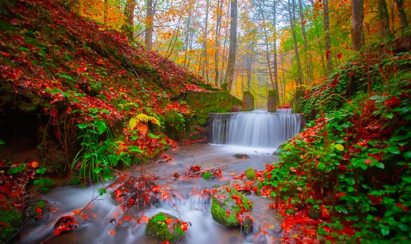 Seven Lakes (Yedigller) National Park, the most beautiful colors of autumn, the waterfall was brought to light with the long exposure technique.