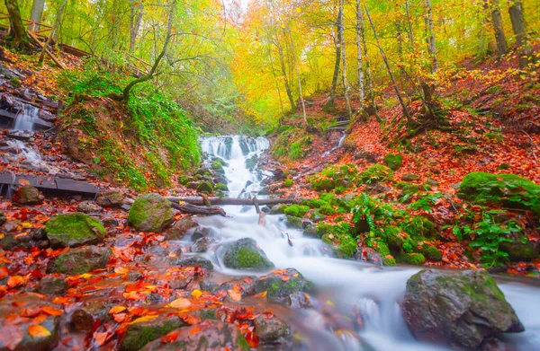 Yedi Göl (Yedigller) Ulusal Parkı, sonbaharın en güzel renkleri, şelale uzun pozlama tekniğiyle gün ışığına çıkarıldı..